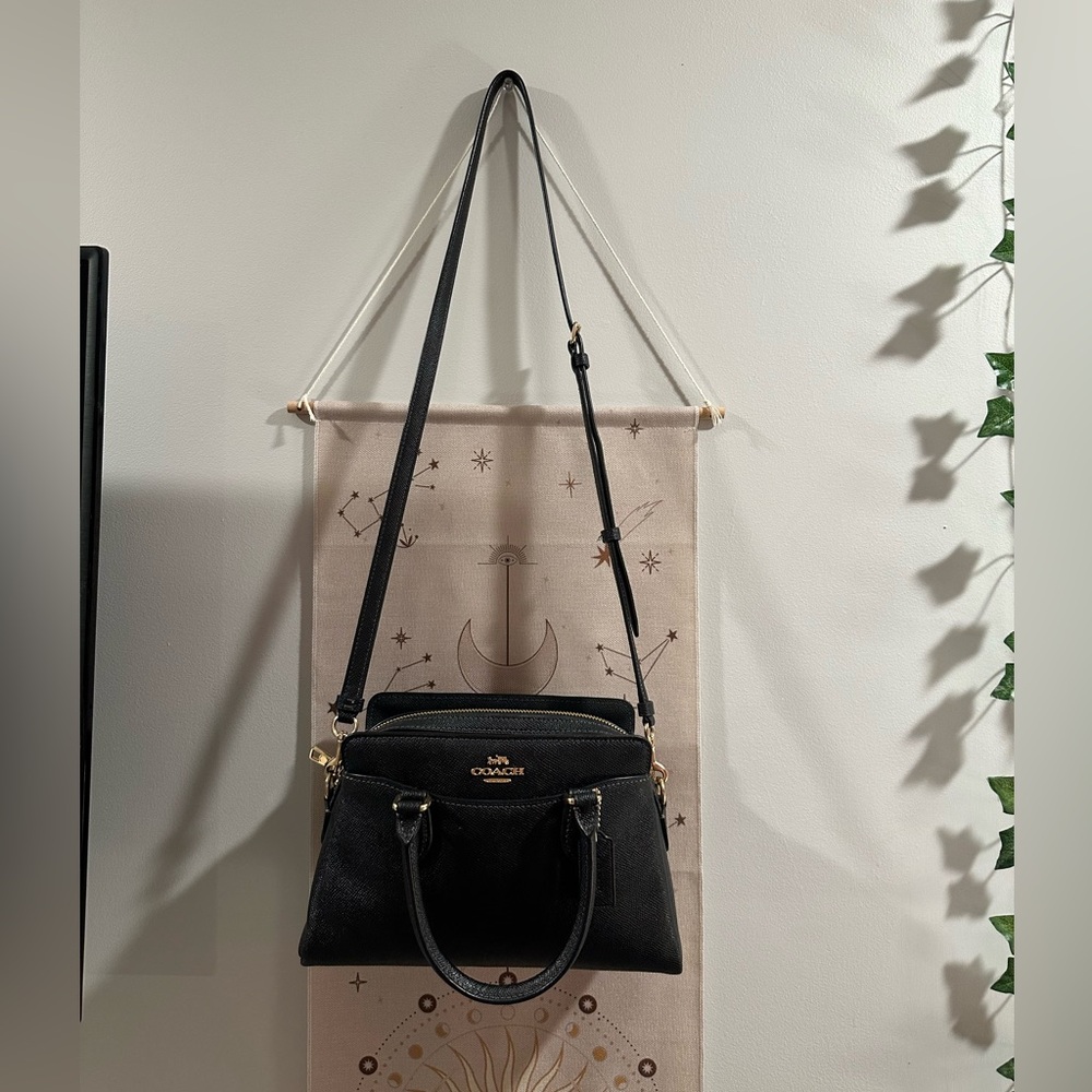 mini darcie carryall coach purse